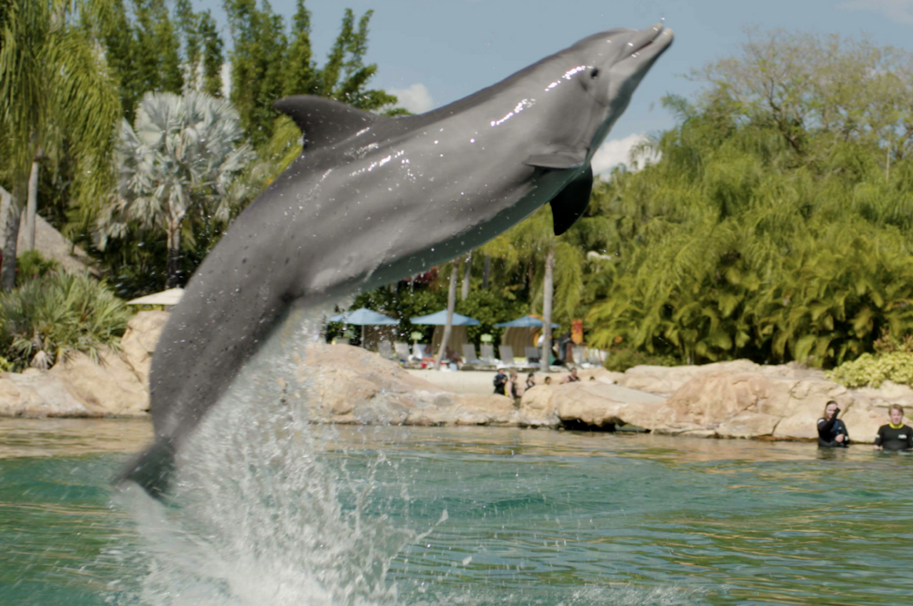 Tourism Omega Group Advertising Agency Ridgeland, MS